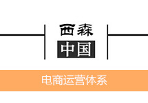 [西森·中國] 努力打造一支健康運營電商團隊