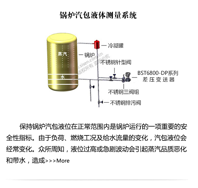 鍋爐汽包液體測量系統