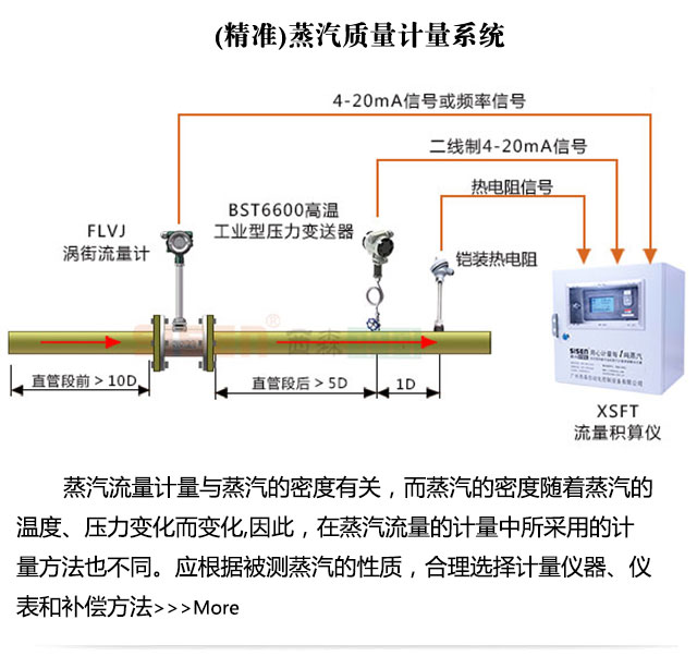 [精準]飽和蒸汽計量系統