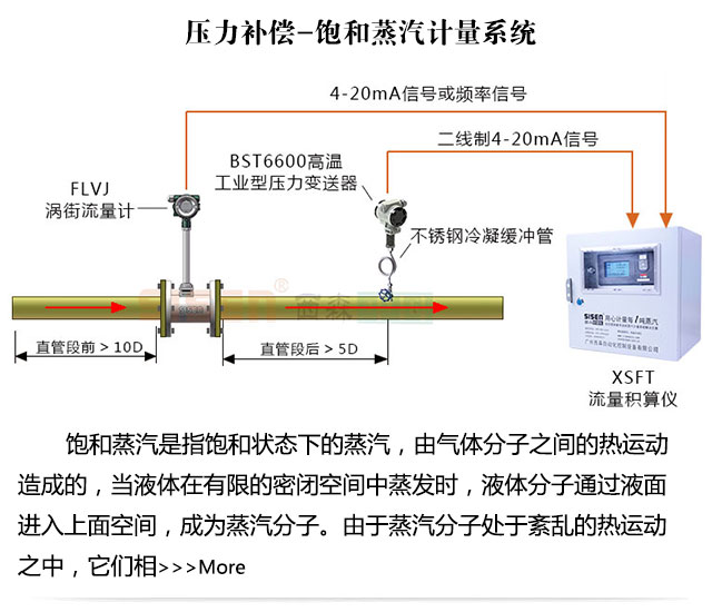 壓力補償蒸汽質量計量系統