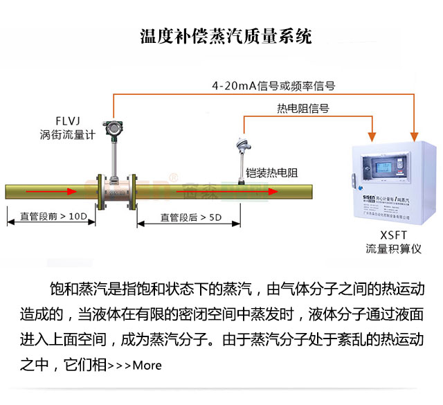 溫度補償蒸汽質量計量系統