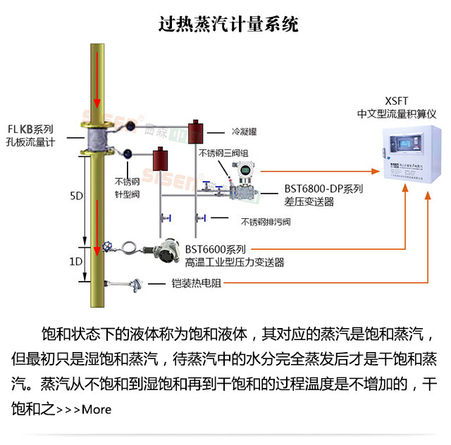 過熱蒸汽計量系統