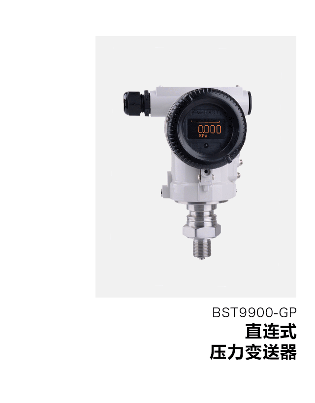 BST9900T-GP單晶硅直連式壓力變送器