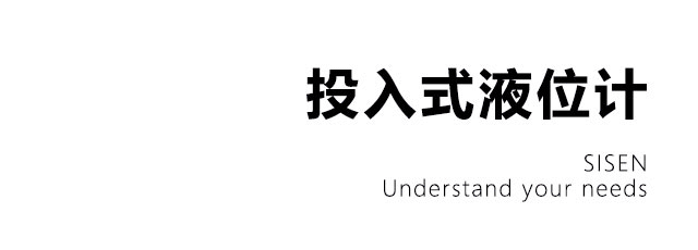 集氣筒分體投入式液位計