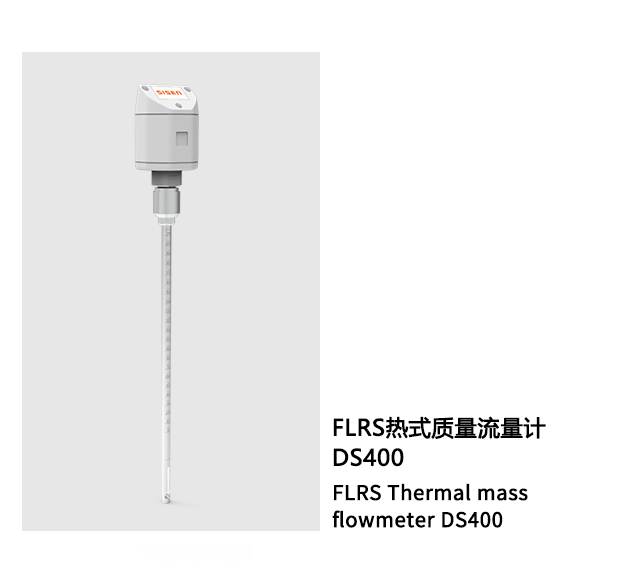 熱式質量流量計DS400