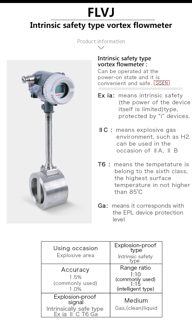 FLVJ intrinsic safety type