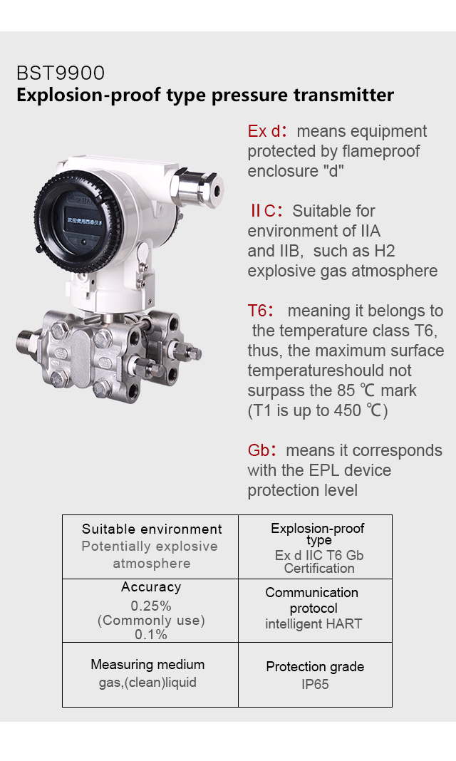 BST9900 flameproof type