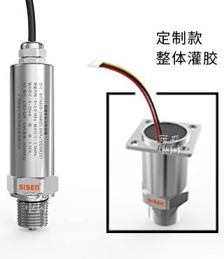 BST6600-WL系列低功耗壓力變送器