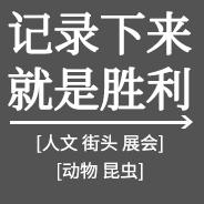 記錄下來就是勝利 團隊展示11