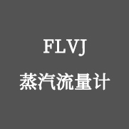 FLVJ 蒸汽流量計