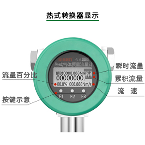 熱式氣體質量流量計表頭顯示