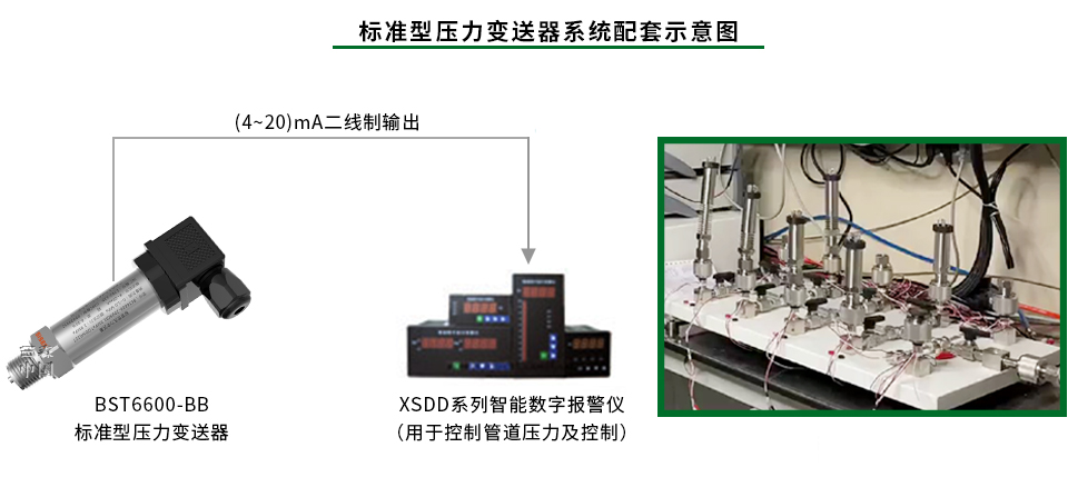 不銹鋼棒式壓力變送器系統展示