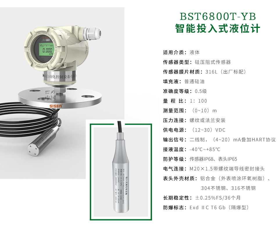 BST6800T-YB智能投入式液位計廠家